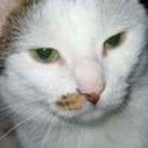 3185eed4 21497316
Mein Seppal (6j) der größte Lausbub