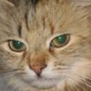 fc09653b 21497433
Das ist meine süße Mausi (8j)