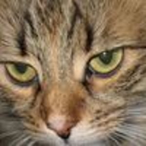 597d180a 21497360
Meine Zuzi (8j) die Daumen lutscht)