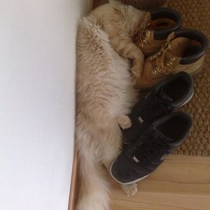 Und das ist wohl sein lieblingsschlafplatz :D