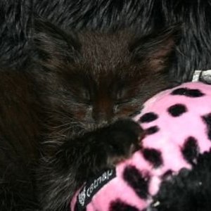 Gem ich vermisse dich :(