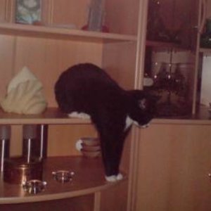 Die wohl für ihn bequemste Haltung