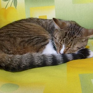 Neues Bild [1024x768]