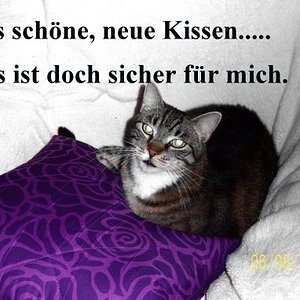 Ich liebe Kissen