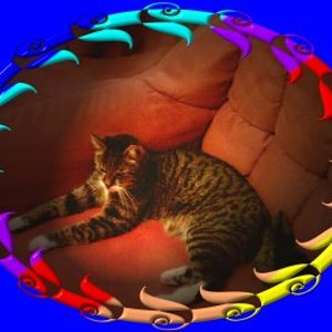 Prinz!!Wir werden Dich NIE vergessen.