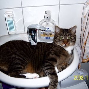 Da bin ich wohl schon etwas raus gewachsen. Ein neues Waschbecken währe super.