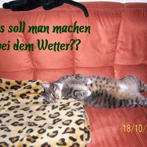 Schlafen...meine liebste Beschäftigung