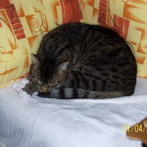 Und wieder schlafen.