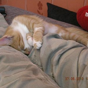 Hauptsache schlafen...