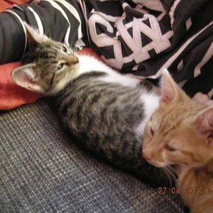 Schon wieder nen Foto?!