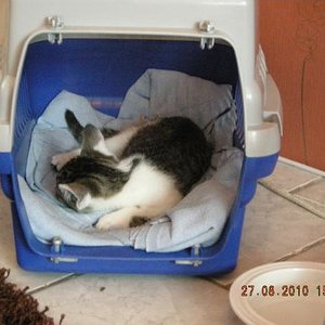 My home is my castle!