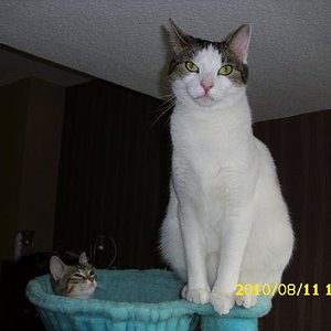 Mein Grosser und die Kleine