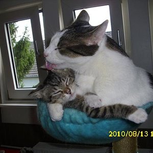 Die verstehn sich gut:)