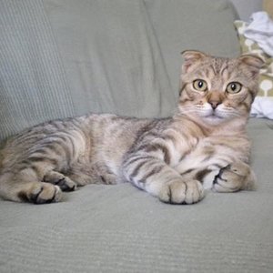 der stolze Papa, gerade mal 8 oder 9 mon. alt.....