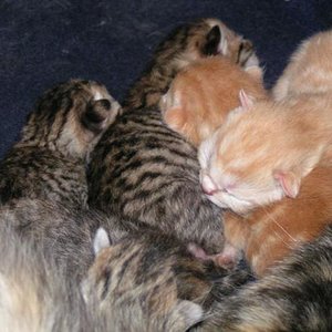 who is who  25.09.10