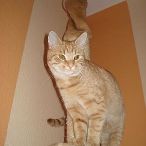 Ich bin schon ganz schön groß!