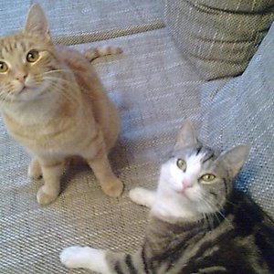 Wir sind ein gutes Team...