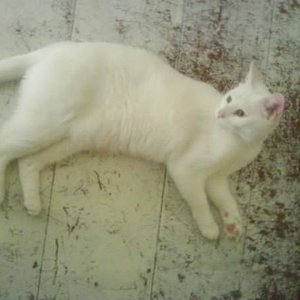 Da sah Alles noch entspannt aus.