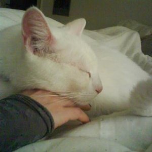 Ein seltener, zärtlicher Moment.