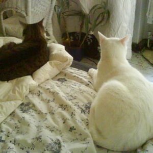 Naja, auch wenn man sich nicht kennt! Zusammen ausm Fenster gucken kann man schon mal.