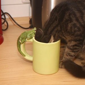 Was ist denn da drin?