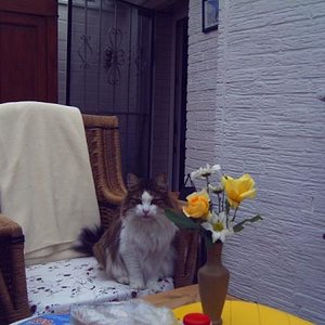 Hier sitzt Fun im Wintergarten