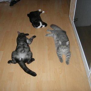 Boomer Sheila Felix Juni 2010