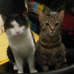 und nochmal beide zusammen ;)