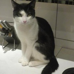 und mein Kater Catch ;)