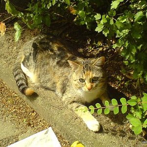 Unsere süße kleine :)