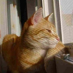 netz.Manta Manta oder Nein mein name ist nicht USCHI