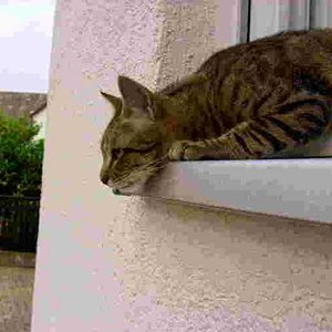 netz.laaaaaaangweilig