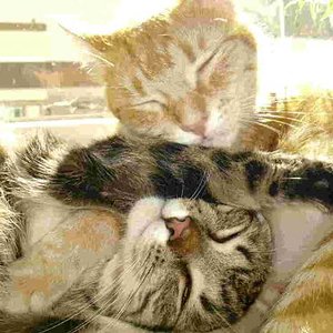 WEG! ich war zuerst da.