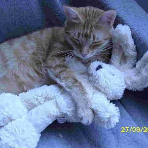 ich bin ja soooo alleine - niemand hat mich lieeb