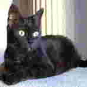 netz huch wasn da los