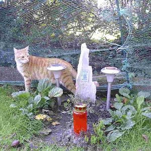 Lisa, 16 Jahre, Ich vermisse dich immer noch so sehr.