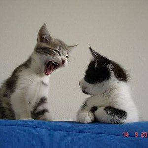 da ist wohl jemand müde