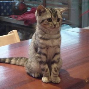 Maya unsere jüngste