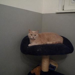 Das ist Balou die älteste und unsere Hohheit 10 Jahre