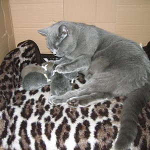 2.11.2009 Tag der Geburt