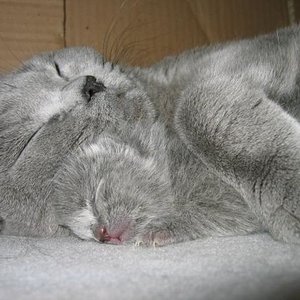 Mama kuschelt mit Saphira