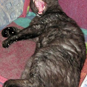 IMG 0128 editedMann,bin ich müüüüüüüüüüüüüüüüde