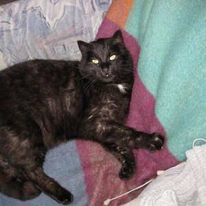 IMG 0246  Mein Sessel!