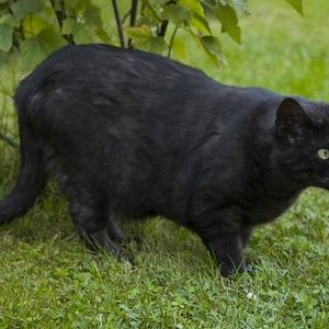 Was ist denn da so spannend?