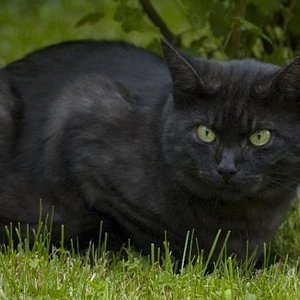 Ich bin die Ruhe selbst...