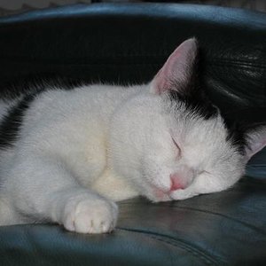 Träumst Du was schönes?