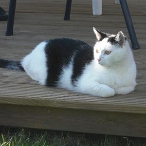 auf Beabachtungsposten