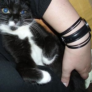 Kuscheleinheiten mit 12 Wochen