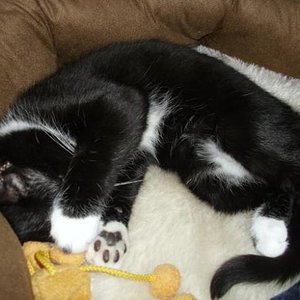 16 Wochen im geliebten Bettchen