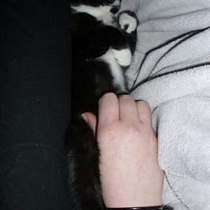 Abends geht's immer an meine Seite... 17 Wochen